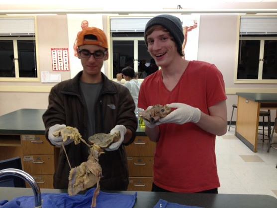 Bradley Stohr's Marin Science Seminar presentation 2014