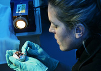 Pamela Schaller with a penguin egg